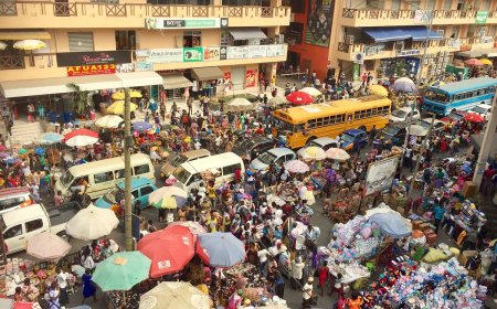 GUTA tells Akufo-Addo not to sign Ghana Shippers Authority Act, 2024 Bill until the critical issues are addressed